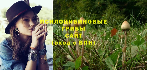 apvp Новокубанск