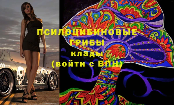стаф Алексин