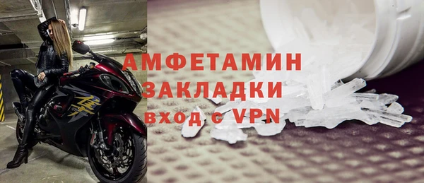 стаф Алексин