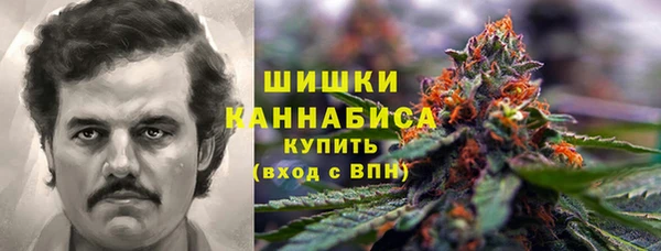 прущие крисы Горняк
