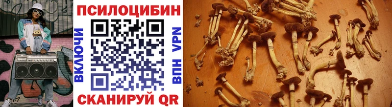 наркота  Ревда  Псилоцибиновые грибы мицелий 